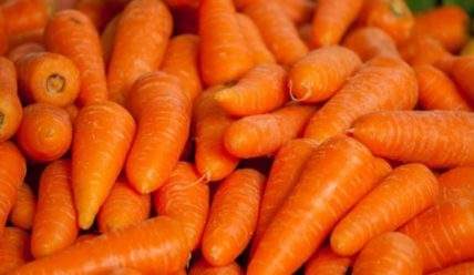 Чем полезна морковь и что вкусного из нее приготовить