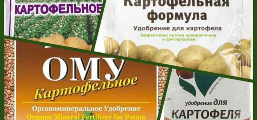 Удобрение для картофеля фото