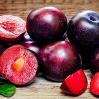 Шарафуга?: описание и фото? гибрида персика, сливы и абрикоса