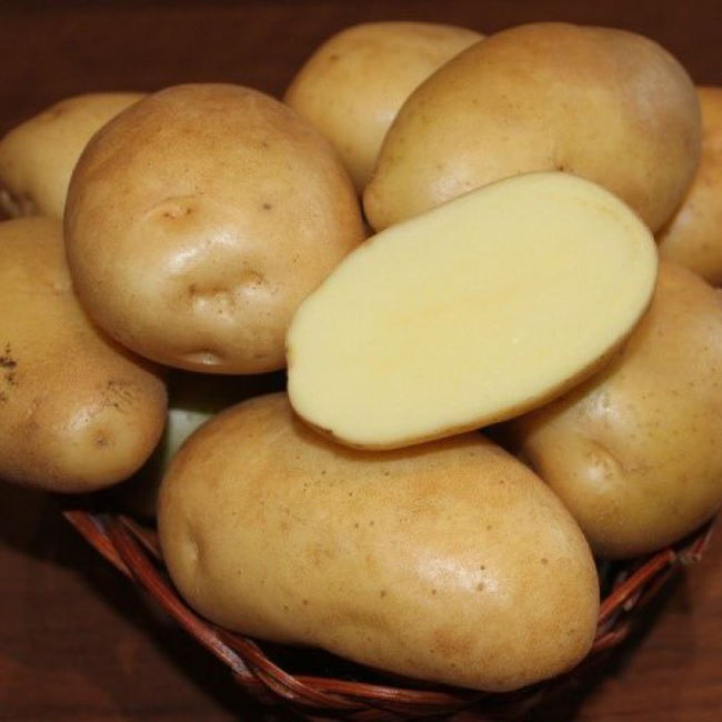 Характеристика сорта картошки Никулинская