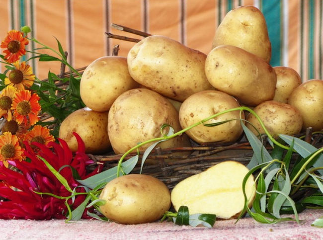 Описание картофеля Лабадия