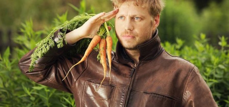 Когда убирать урожай моркови и способы хранения