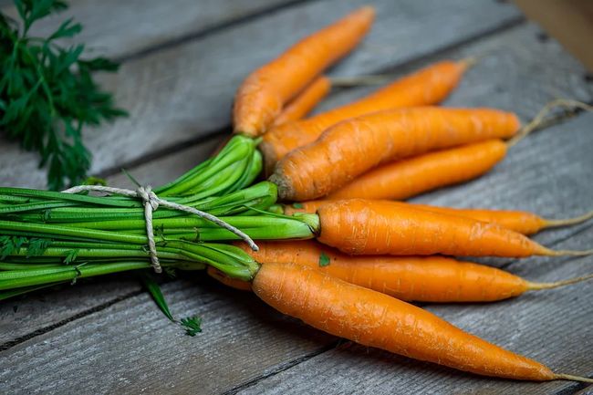 Когда убирать зимнюю морковь