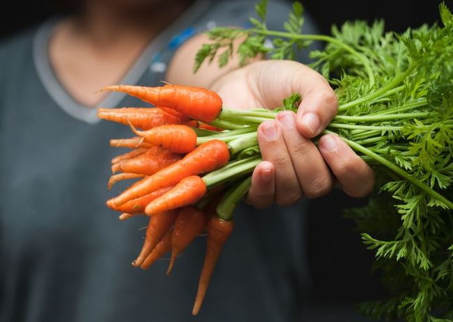 Почему морковь не растет