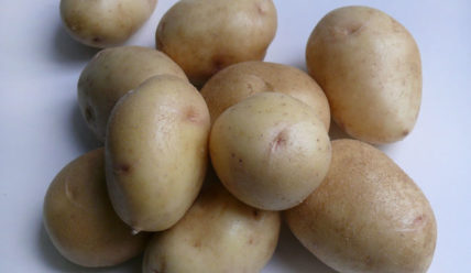Характеристика сорта картофеля Невский – Отзывы о сорте Невский