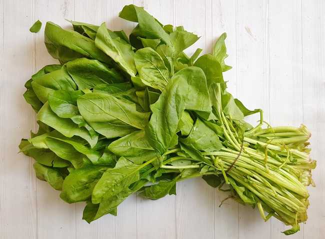 Как правильно сохранить шпинат на зиму в домашних условиях: советы и рекомендации