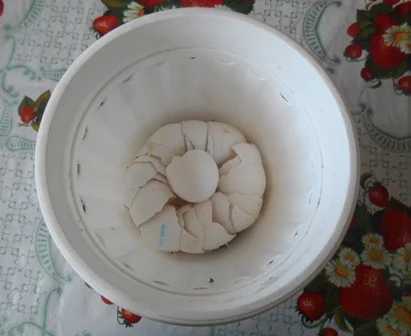 Дренаж для рассады и цветов из яичной скорлупы