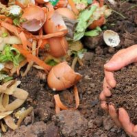 Органические удобрения для огорода | Список лучших